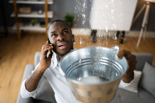 Best Basement water damage restoration  in Lincoln Center, KS