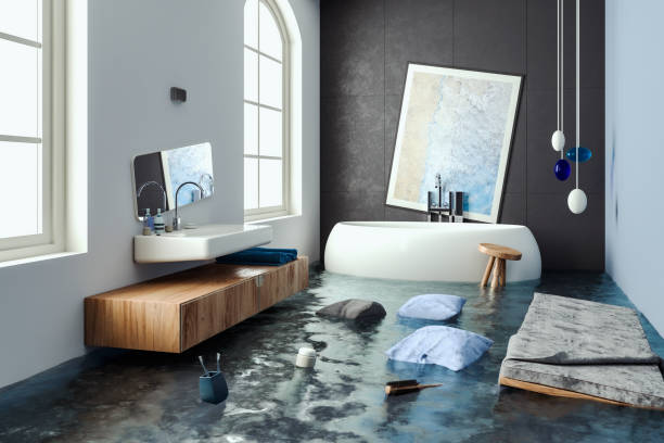 Best Mold removal after water damage  in Lincoln Center, KS