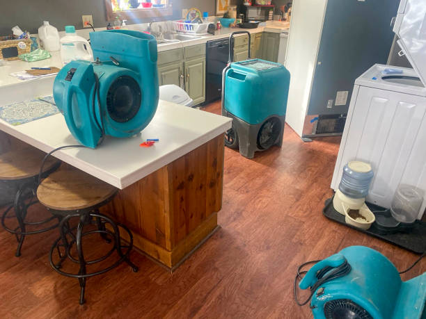 Best Water damage restoration near me  in Lincoln Center, KS