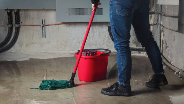 Best Water damage restoration near me  in Lincoln Center, KS