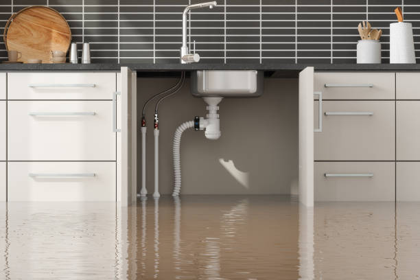Best Water damage repair service  in Lincoln Center, KS