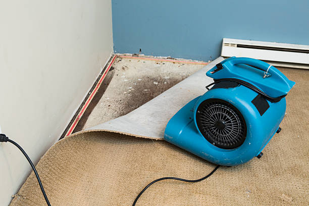 Best Water damage restoration specialists  in Lincoln Center, KS